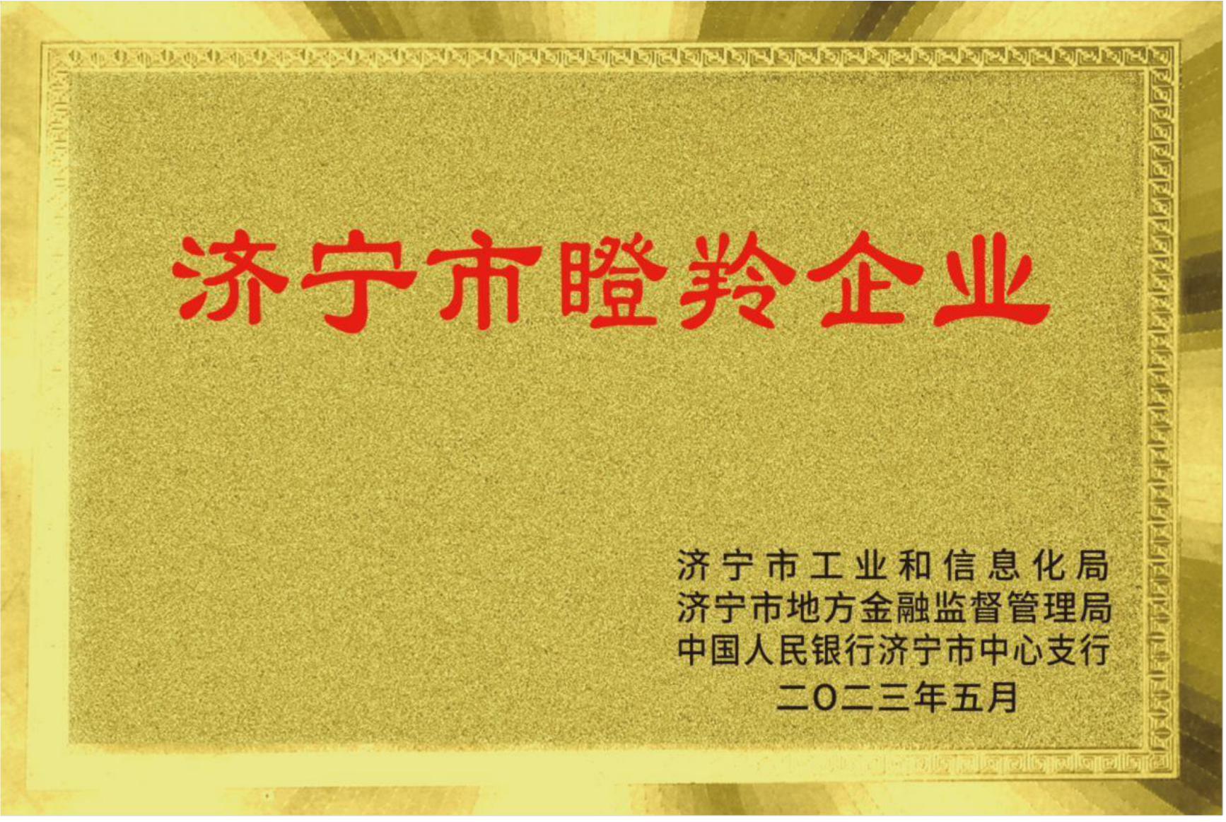 濟寧市瞪羚企業